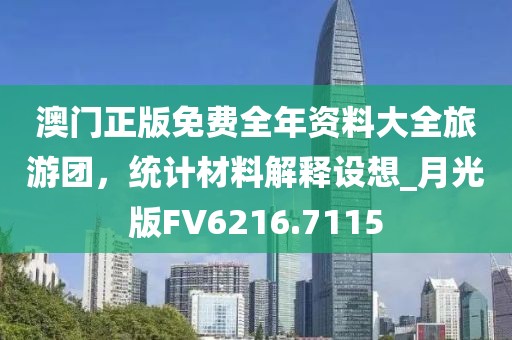 澳門正版免費全年資料大全旅游團，統(tǒng)計材料解釋設想_月光版FV6216.7115