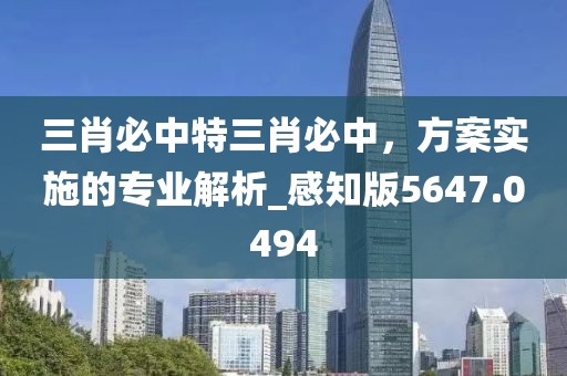 三肖必中特三肖必中，方案實(shí)施的專業(yè)解析_感知版5647.0494