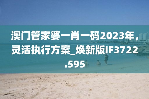 澳門管家婆一肖一碼2023年，靈活執(zhí)行方案_煥新版IF3722.595