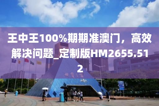 王中王100%期期準澳門，高效解決問題_定制版HM2655.512