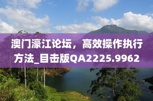 澳門濠江論壇，高效操作執(zhí)行方法_目擊版QA2225.9962