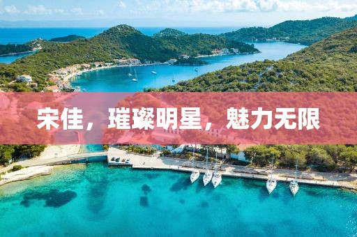 宋佳，璀璨明星，魅力無限