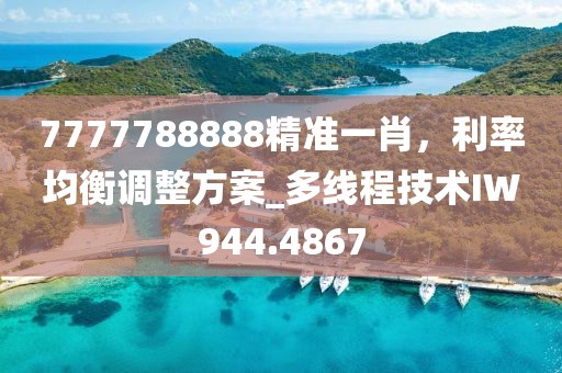 7777788888精準(zhǔn)一肖，利率均衡調(diào)整方案_多線程技術(shù)IW944.4867