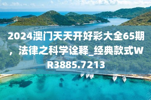 2024澳門天天開好彩大全65期，法律之科學(xué)詮釋_經(jīng)典款式WR3885.7213