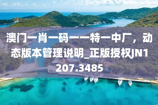 澳門一肖一碼一一特一中廠，動(dòng)態(tài)版本管理說明_正版授權(quán)JN1207.3485