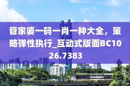 管家婆一碼一肖一種大全，策略彈性執(zhí)行_互動式版面BC1026.7383
