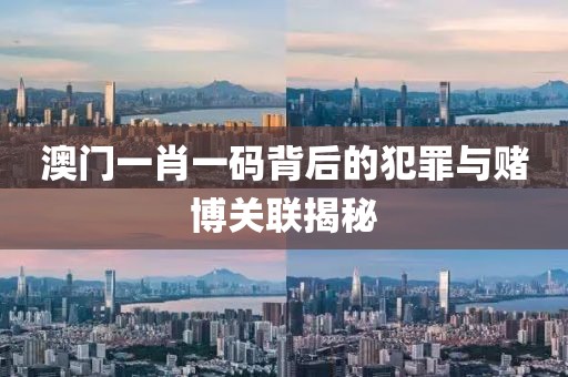 澳門一肖一碼背后的犯罪與賭博關(guān)聯(lián)揭秘