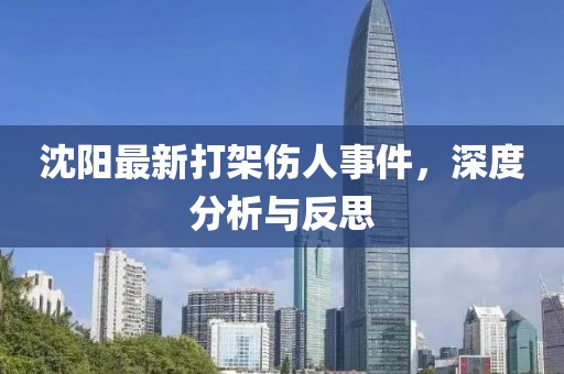 沈陽最新打架傷人事件，深度分析與反思