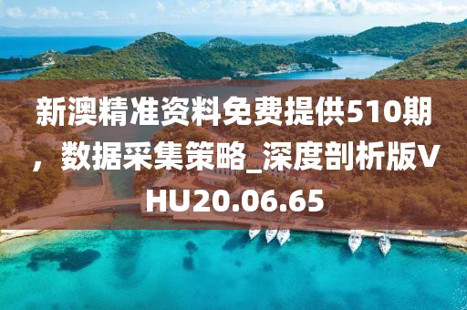 新澳精準資料免費提供510期，數(shù)據(jù)采集策略_深度剖析版VHU20.06.65