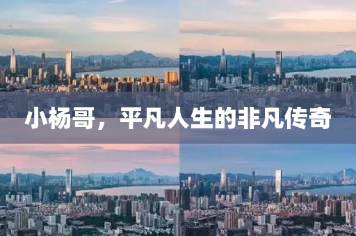 小楊哥，平凡人生的非凡傳奇