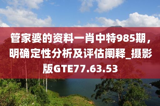管家婆的資料一肖中特985期，明確定性分析及評估闡釋_攝影版GTE77.63.53