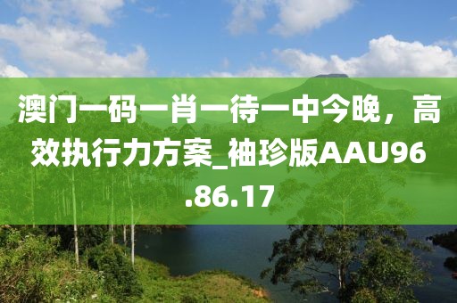 澳門一碼一肖一待一中今晚，高效執(zhí)行力方案_袖珍版AAU96.86.17