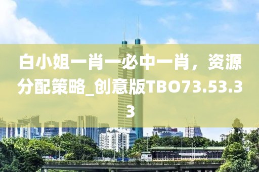 白小姐一肖一必中一肖，資源分配策略_創(chuàng)意版TBO73.53.33