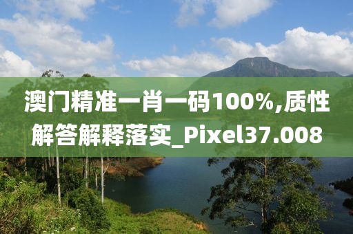 澳門精準(zhǔn)一肖一碼100%,質(zhì)性解答解釋落實(shí)_Pixel37.008