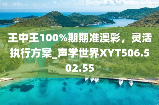 王中王100%期期準(zhǔn)澳彩，靈活執(zhí)行方案_聲學(xué)世界XYT506.502.55