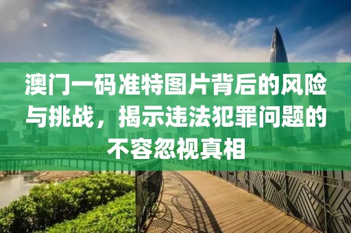 澳門一碼準(zhǔn)特圖片背后的風(fēng)險與挑戰(zhàn)，揭示違法犯罪問題的不容忽視真相