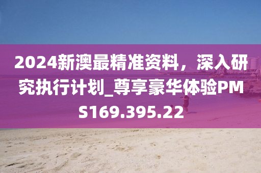 2024新澳最精準(zhǔn)資料，深入研究執(zhí)行計(jì)劃_尊享豪華體驗(yàn)PMS169.395.22