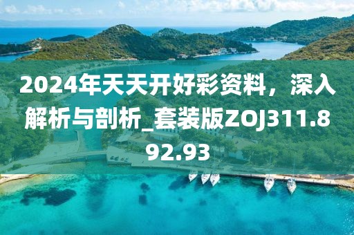 2024年天天開好彩資料，深入解析與剖析_套裝版ZOJ311.892.93