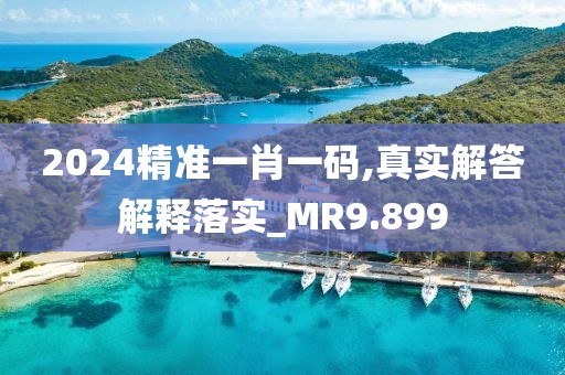 2024精準(zhǔn)一肖一碼,真實解答解釋落實_MR9.899