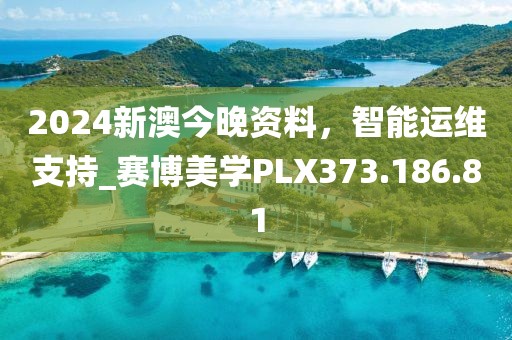 2024新澳今晚資料，智能運維支持_賽博美學(xué)PLX373.186.81