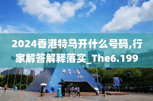 2024香港特馬開什么號碼,行家解答解釋落實_The6.199