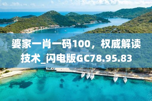 婆家一肖一碼100，權威解讀技術_閃電版GC78.95.83