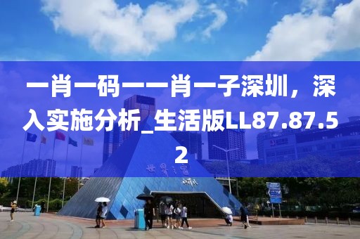 一肖一碼一一肖一子深圳，深入實(shí)施分析_生活版LL87.87.52