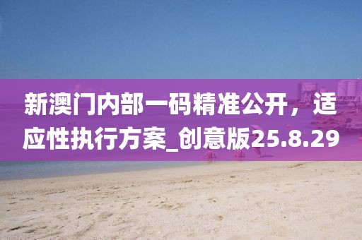 新澳門內(nèi)部一碼精準(zhǔn)公開，適應(yīng)性執(zhí)行方案_創(chuàng)意版25.8.29