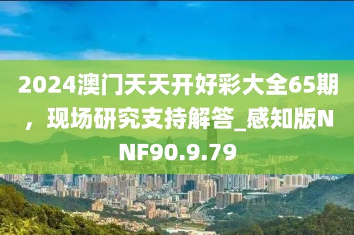 2024澳門天天開好彩大全65期，現(xiàn)場研究支持解答_感知版NNF90.9.79