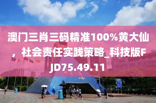 澳門三肖三碼精準(zhǔn)100%黃大仙，社會責(zé)任實踐策略_科技版FJD75.49.11