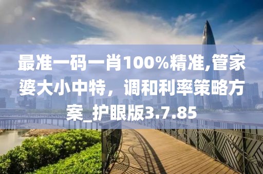 最準(zhǔn)一碼一肖100%精準(zhǔn),管家婆大小中特，調(diào)和利率策略方案_護(hù)眼版3.7.85