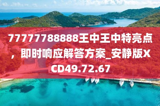 77777788888王中王中特亮點，即時響應(yīng)解答方案_安靜版XCD49.72.67