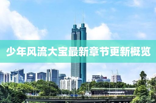 少年風(fēng)流大寶最新章節(jié)更新概覽