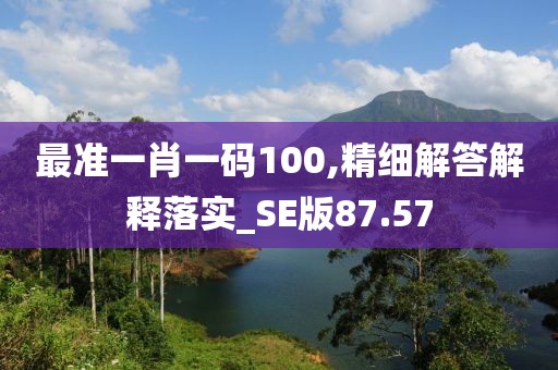 最準(zhǔn)一肖一碼100,精細(xì)解答解釋落實_SE版87.57