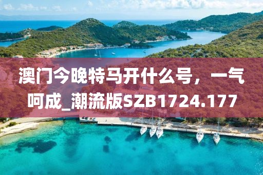 澳門(mén)今晚特馬開(kāi)什么號(hào)，一氣呵成_潮流版SZB1724.177