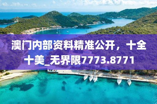 澳門內(nèi)部資料精準(zhǔn)公開，十全十美_無界限7773.8771