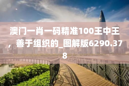 澳門一肖一碼精準(zhǔn)100王中王，善于組織的_圖解版6290.378