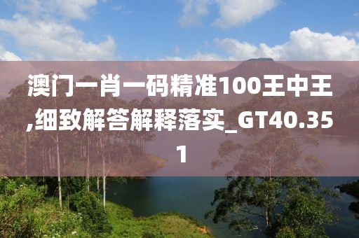 澳門一肖一碼精準100王中王,細致解答解釋落實_GT40.351