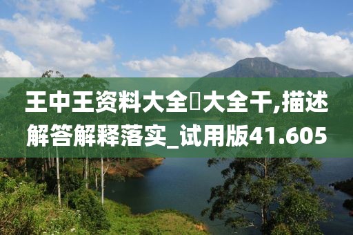 王中王資料大全枓大全干,描述解答解釋落實_試用版41.605