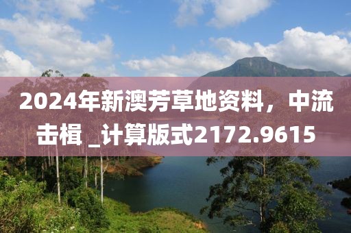 2024年新澳芳草地資料，中流擊楫 _計(jì)算版式2172.9615