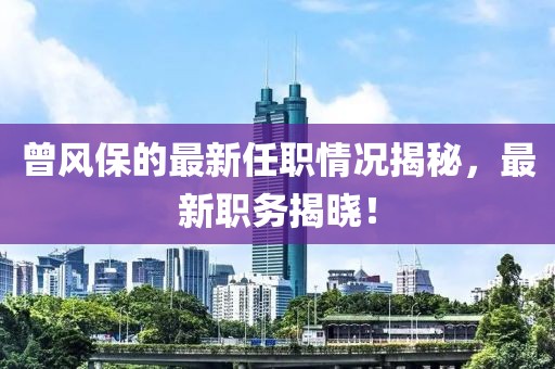 曾風(fēng)保的最新任職情況揭秘，最新職務(wù)揭曉！
