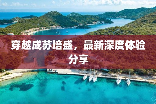 穿越成蘇培盛，最新深度體驗分享