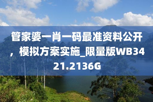 管家婆一肖一碼最準(zhǔn)資料公開(kāi)，模擬方案實(shí)施_限量版WB3421.2136G