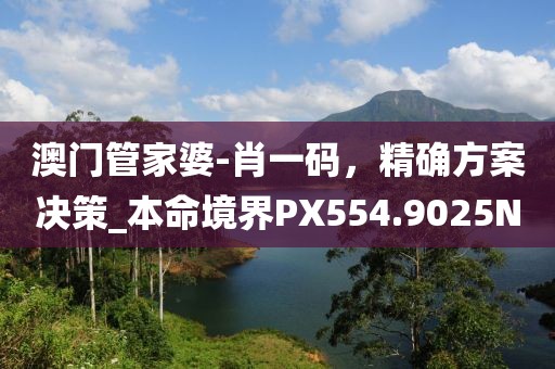澳門管家婆-肖一碼，精確方案決策_本命境界PX554.9025N