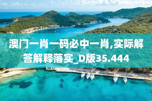 澳門一肖一碼必中一肖,實際解答解釋落實_D版35.444