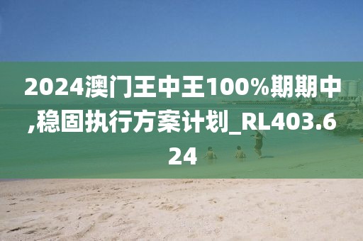 2024澳門王中王100%期期中,穩(wěn)固執(zhí)行方案計(jì)劃_RL403.624