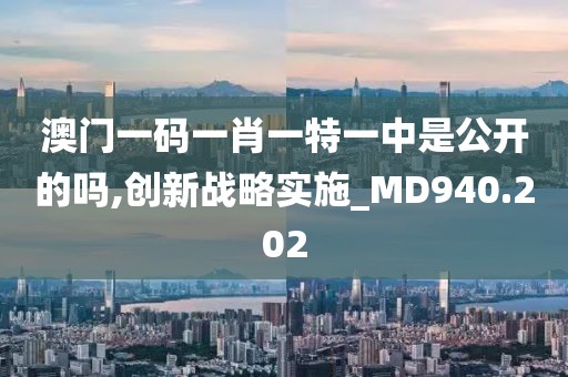 澳門一碼一肖一特一中是公開的嗎,創(chuàng)新戰(zhàn)略實(shí)施_MD940.202