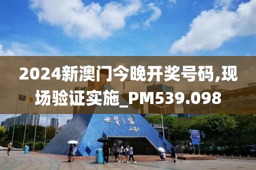 2024新澳門今晚開獎號碼,現(xiàn)場驗證實施_PM539.098