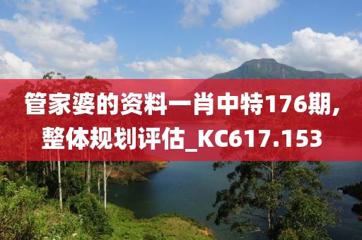 管家婆的資料一肖中特176期,整體規(guī)劃評估_KC617.153