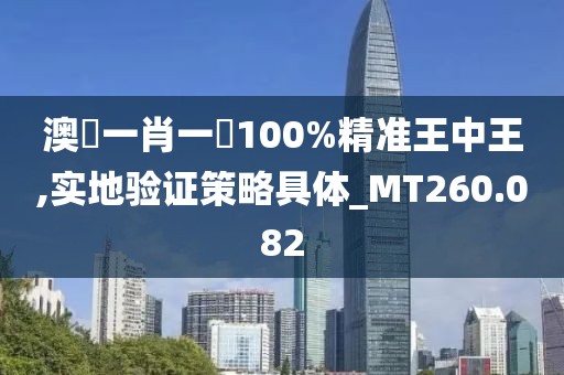 澳門一肖一碼100%精準(zhǔn)王中王,實(shí)地驗(yàn)證策略具體_MT260.082